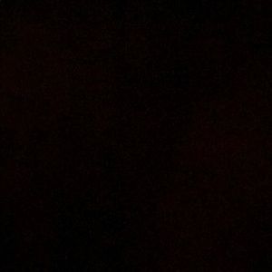 Meet your Posher, Ace